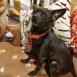 Meet your Posher, Tammy